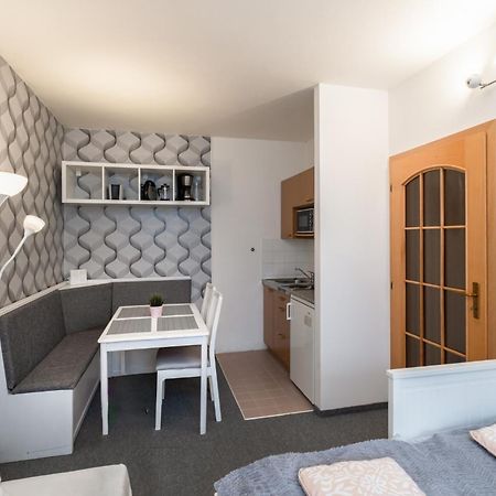 Horsky Apartman Roky - Krkonose 捷克布杰约维采 外观 照片