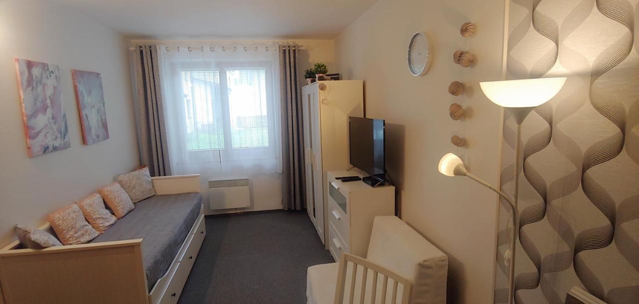 Horsky Apartman Roky - Krkonose 捷克布杰约维采 外观 照片