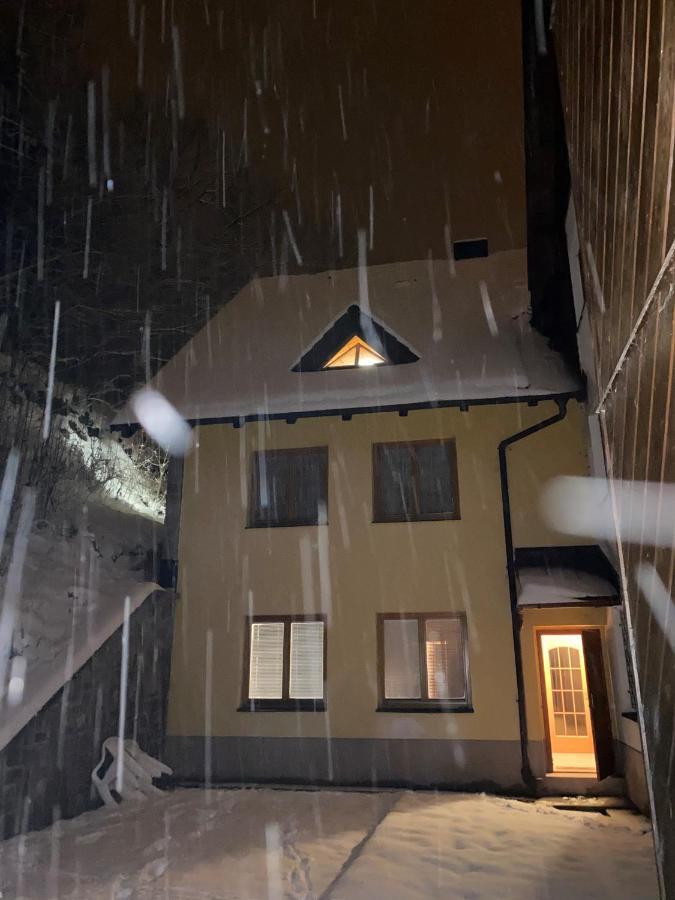 Horsky Apartman Roky - Krkonose 捷克布杰约维采 外观 照片