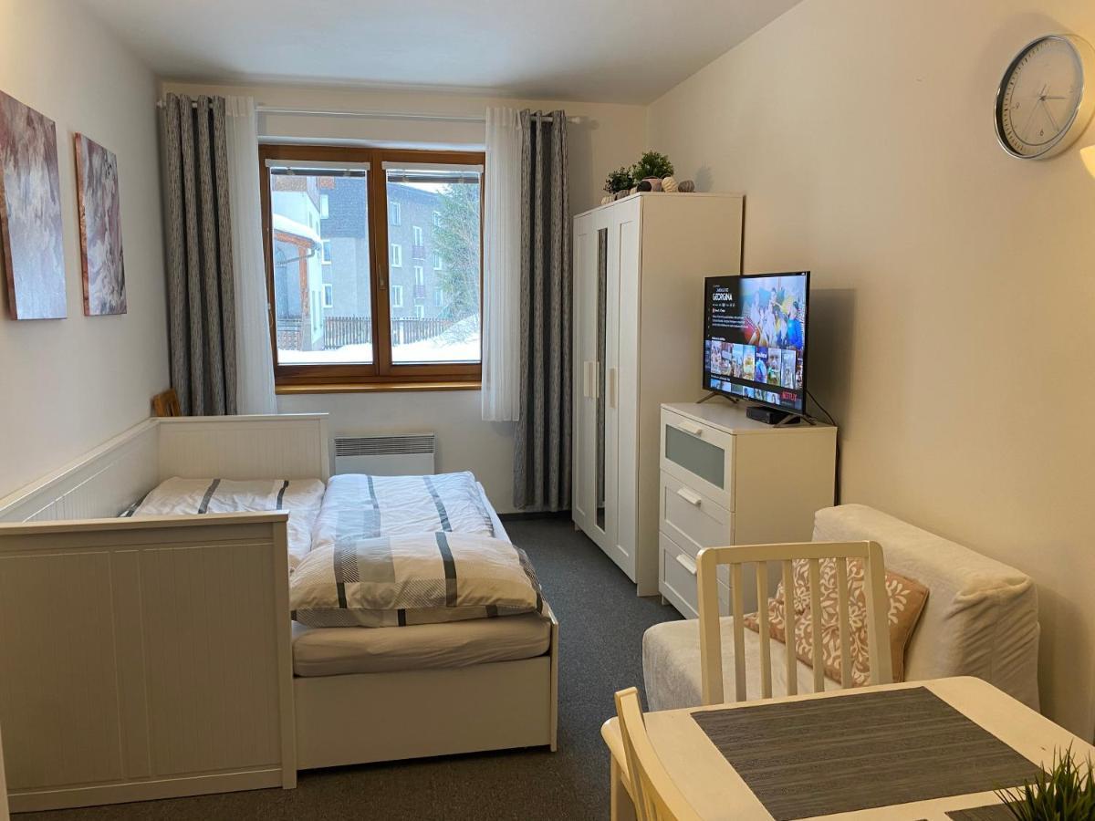 Horsky Apartman Roky - Krkonose 捷克布杰约维采 外观 照片