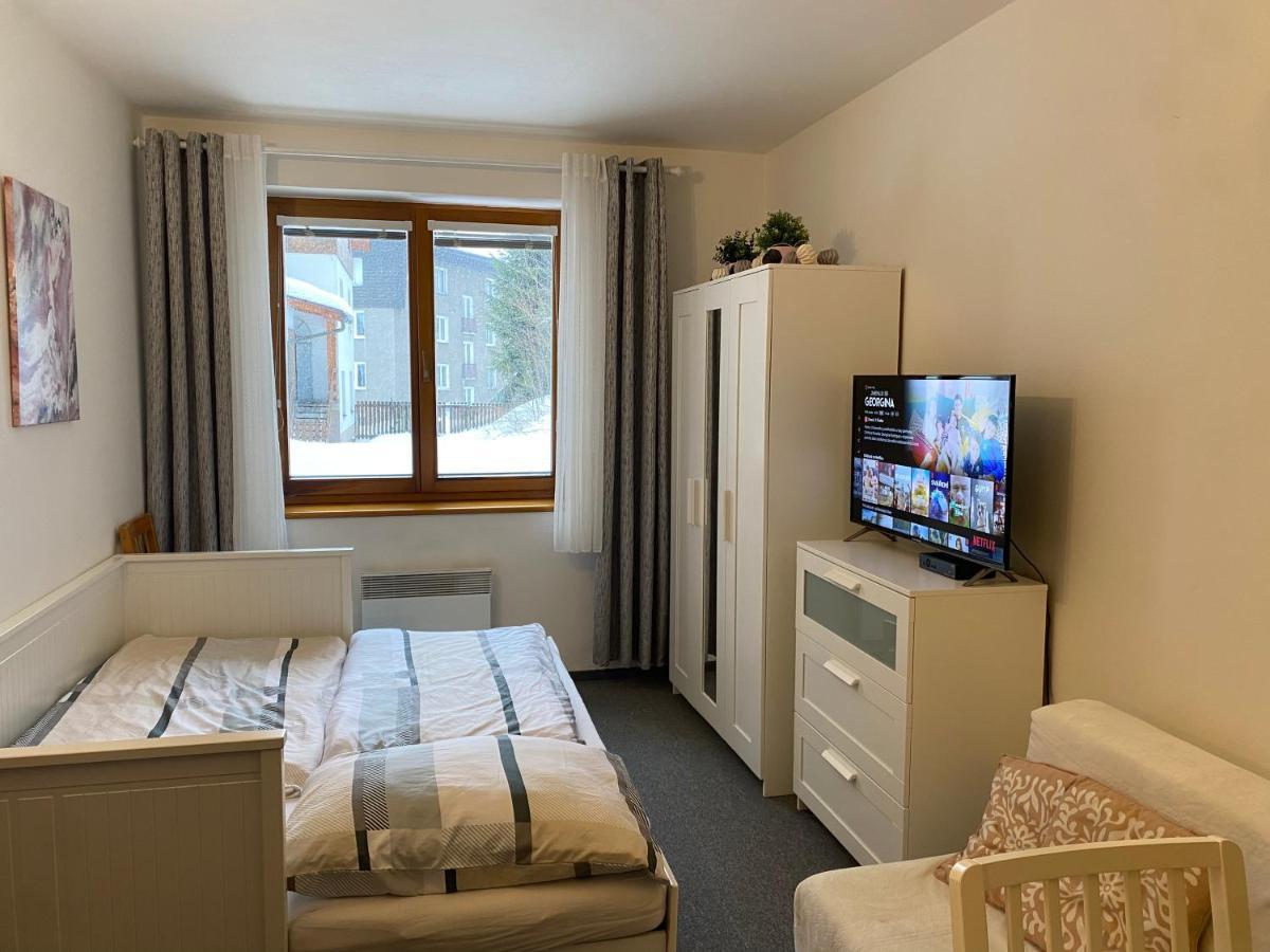 Horsky Apartman Roky - Krkonose 捷克布杰约维采 外观 照片