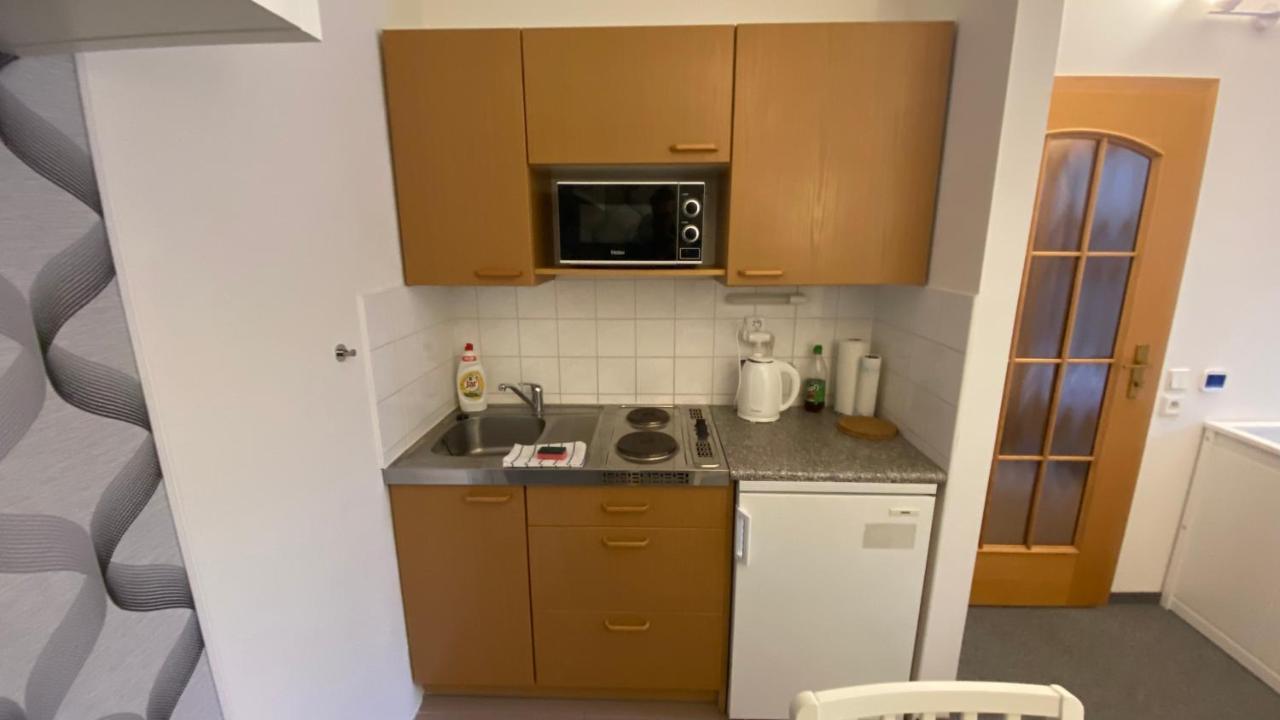 Horsky Apartman Roky - Krkonose 捷克布杰约维采 外观 照片