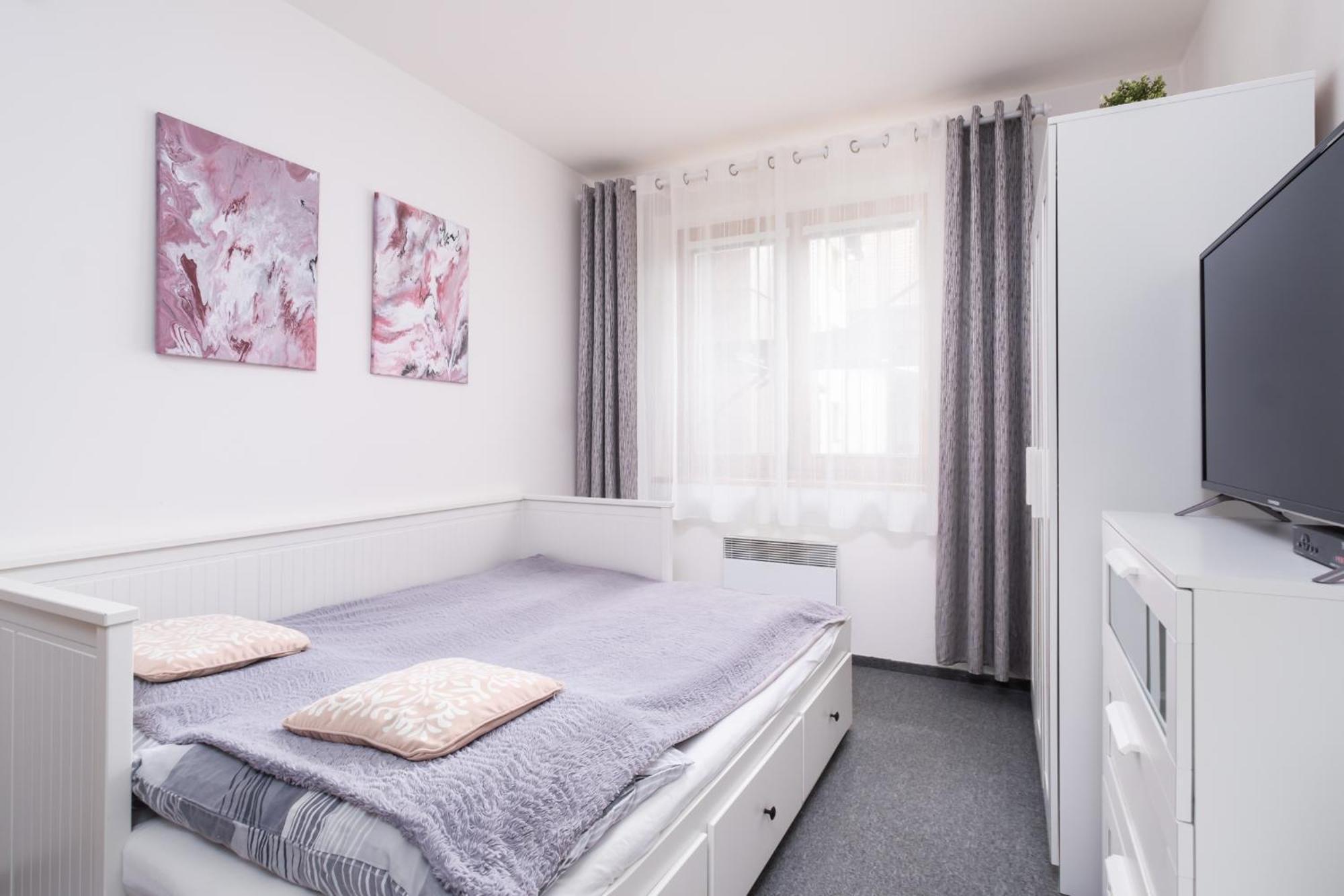 Horsky Apartman Roky - Krkonose 捷克布杰约维采 外观 照片