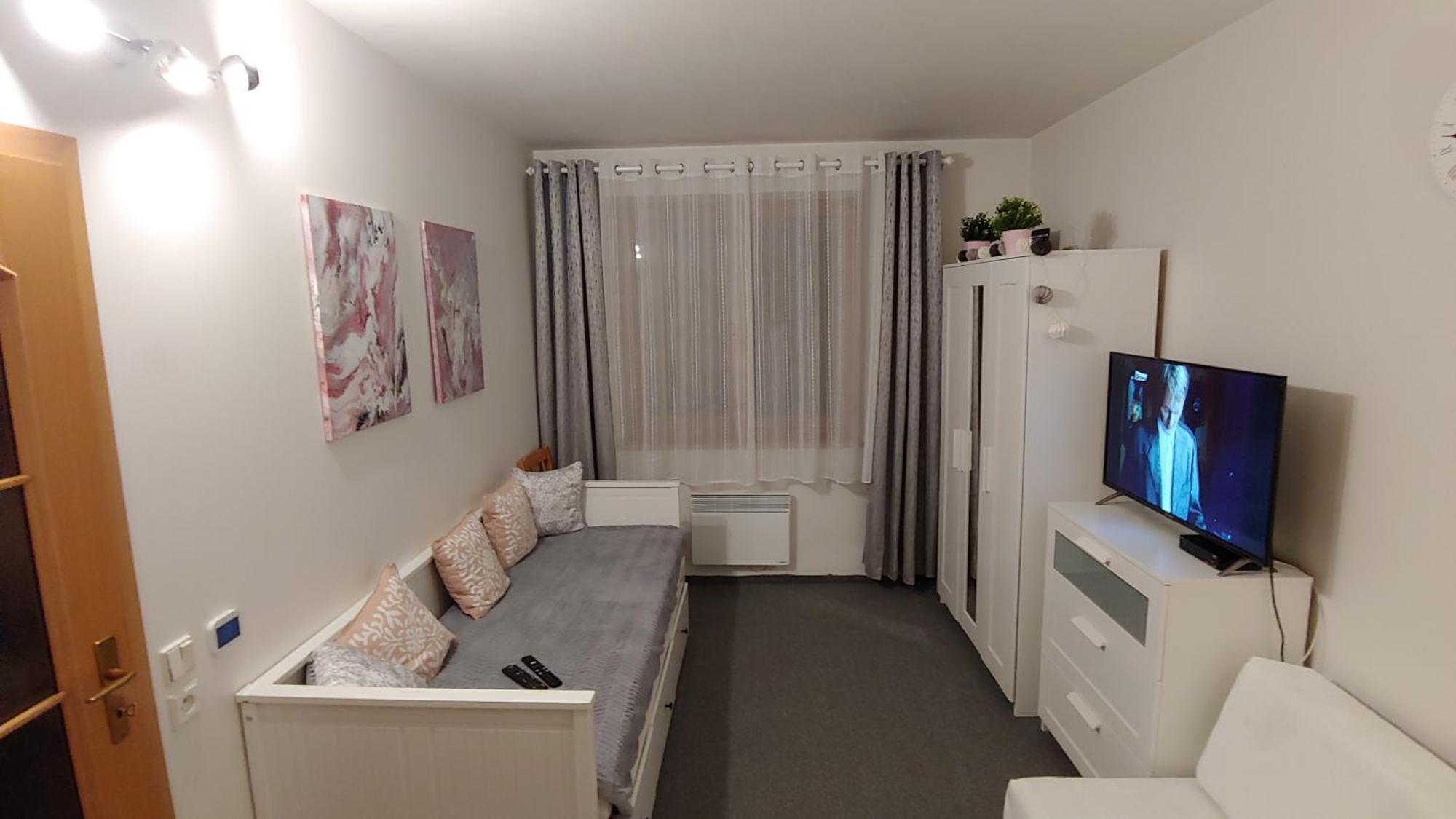 Horsky Apartman Roky - Krkonose 捷克布杰约维采 外观 照片
