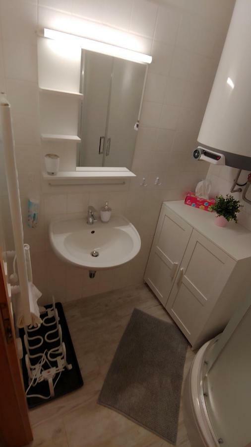 Horsky Apartman Roky - Krkonose 捷克布杰约维采 外观 照片