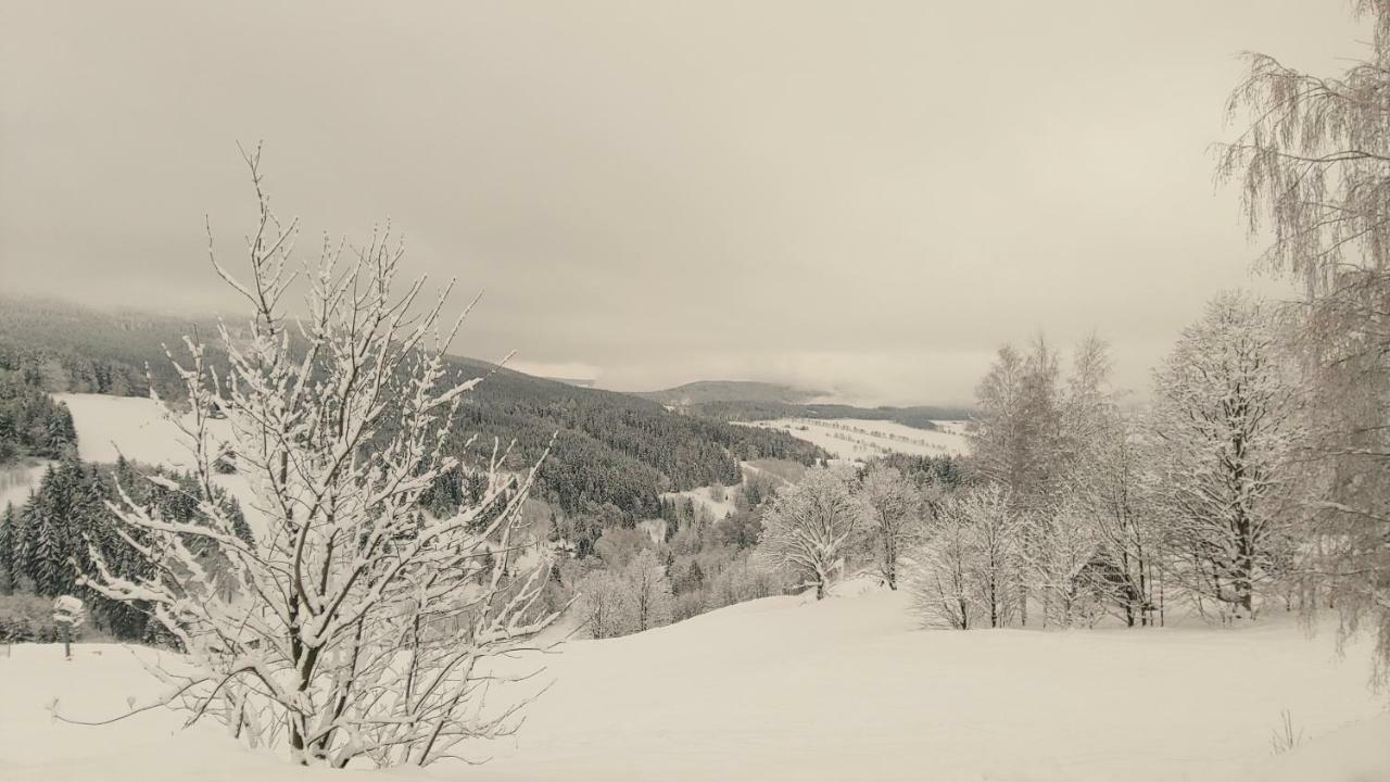 Horsky Apartman Roky - Krkonose 捷克布杰约维采 外观 照片